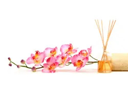 ist2_3839861-spa-objects