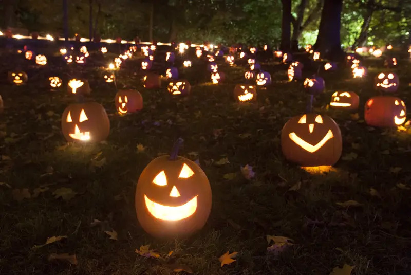 great jack o lantern blaze ny