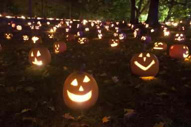 jack-o-lantern-blaze-ny