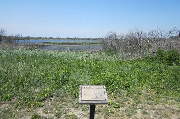 Jamaica Bay Wildlife Refuge West Pond view