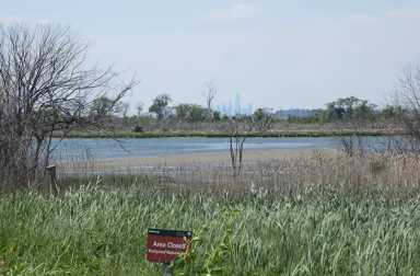 jamaica-wildlife-refuge-west-pond-protected-area