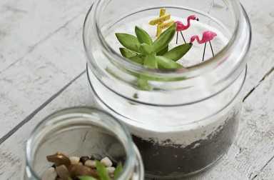 jar-terrarium