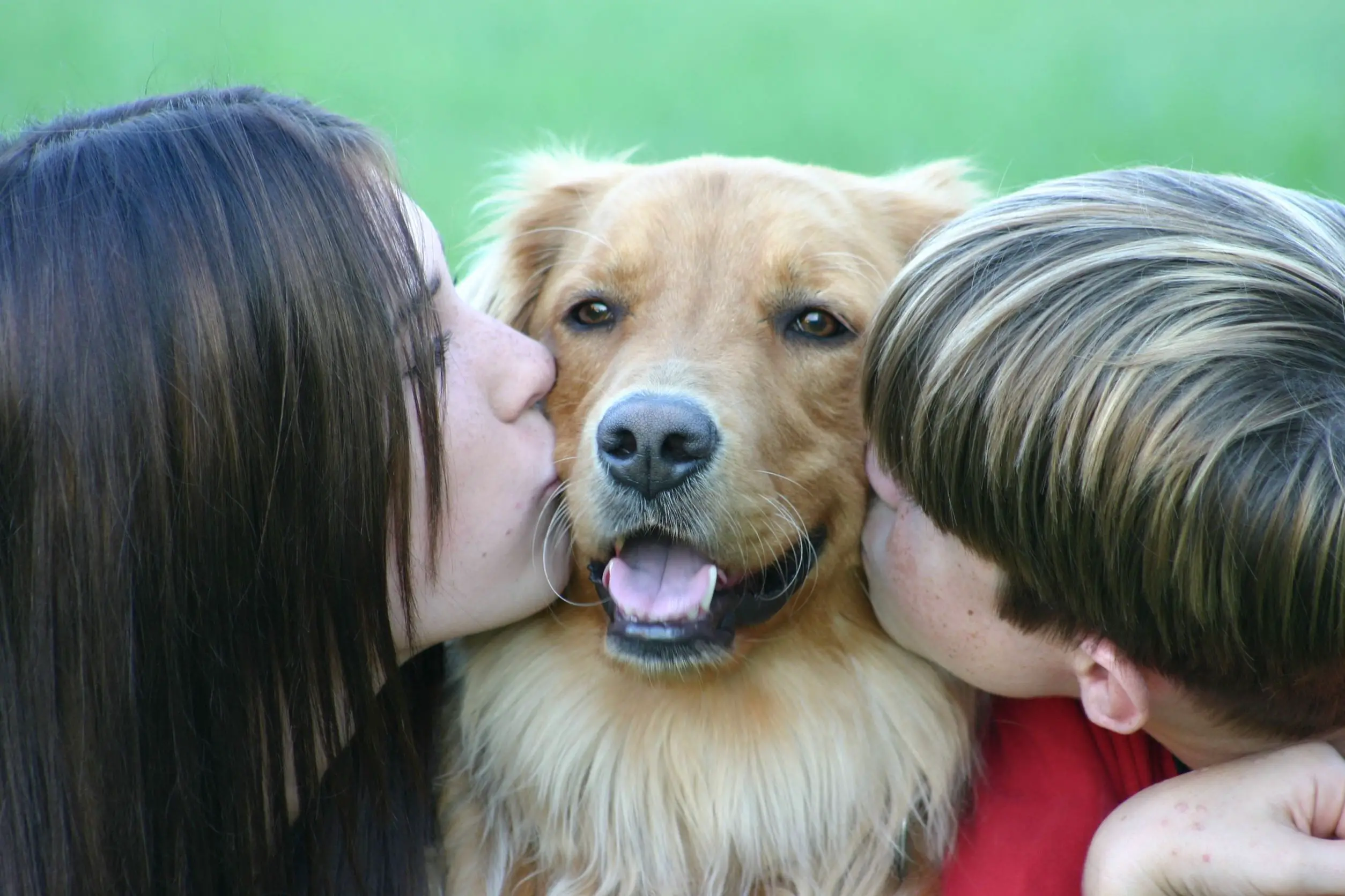 Kids kissing dog