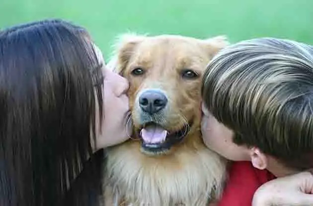 kids and dog