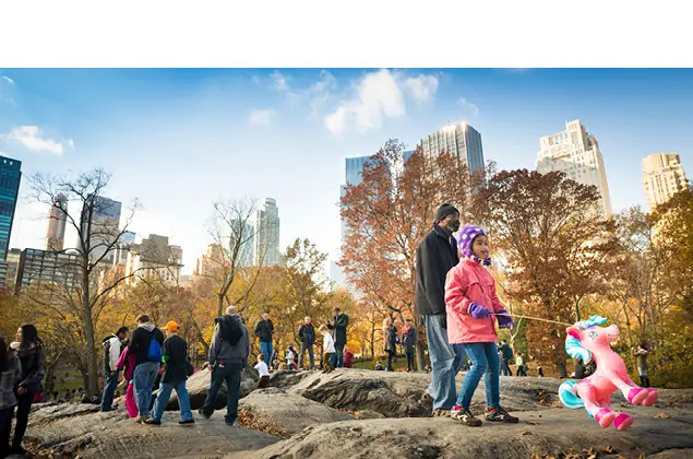 kids playing in fall on rock in central park