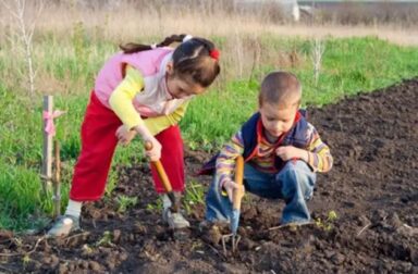 kids-planting-seeds