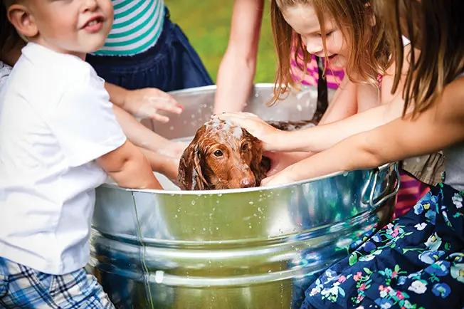 kids washing dog outside