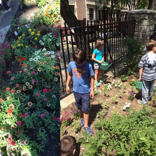 kids gardening