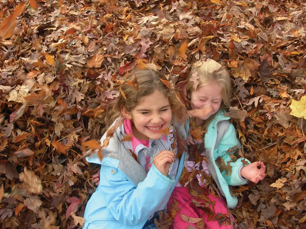 kids in a leaf pile