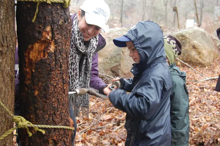 maple sugaring at stamford nature center ct