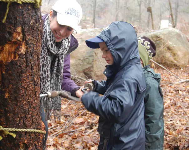 maple sugaring in stamford ct