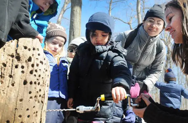 maple sugaring at tenafly nature center