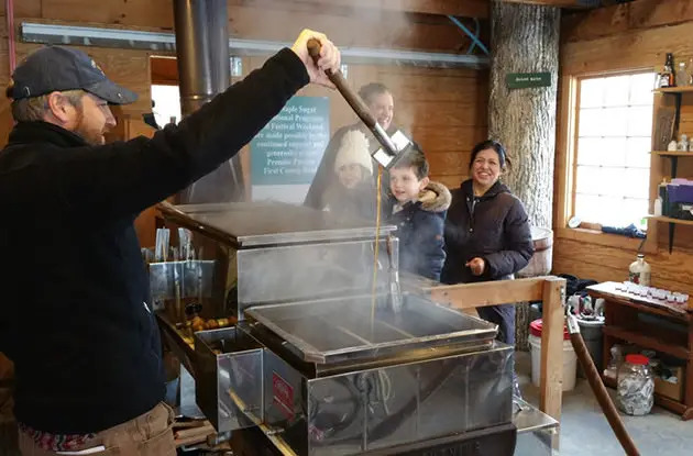 maple sugaring