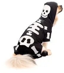 dog in skeleton costume