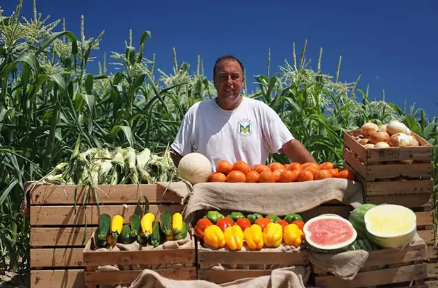 meyer's plant and produce farm stand