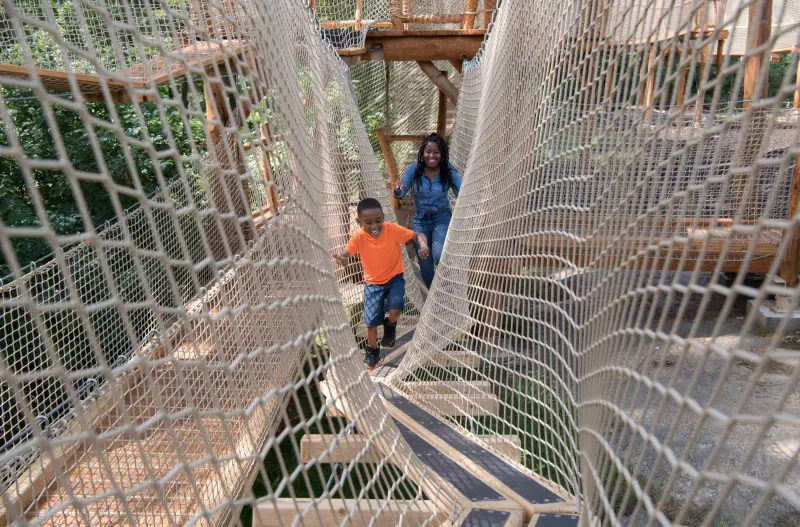 mom and son netted adventure course