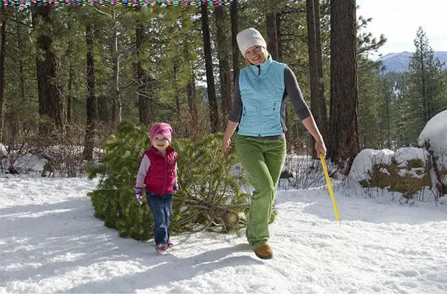 mother and child with christmas tree