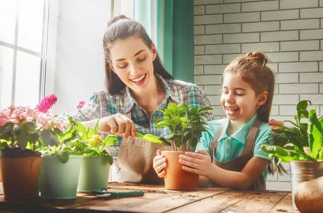 mother daughter plants