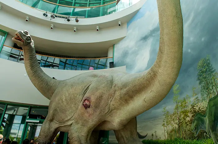 north-carolina-museum-of-natural-sciences