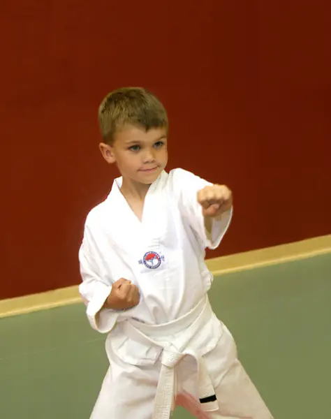 boy practicing martial arts