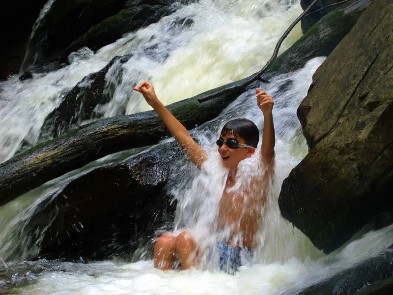 new canaan nature center summer camp