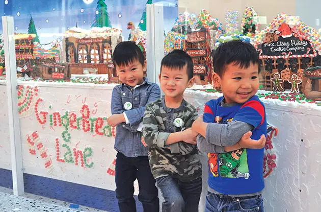 gingerbread land nysci