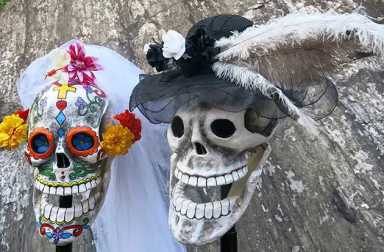newskulls