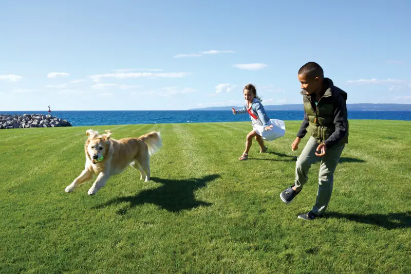 nigel barker's son and daughter play with dog