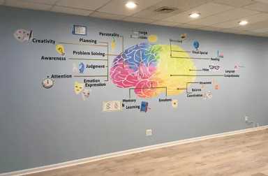 our-mindful-child-brain
