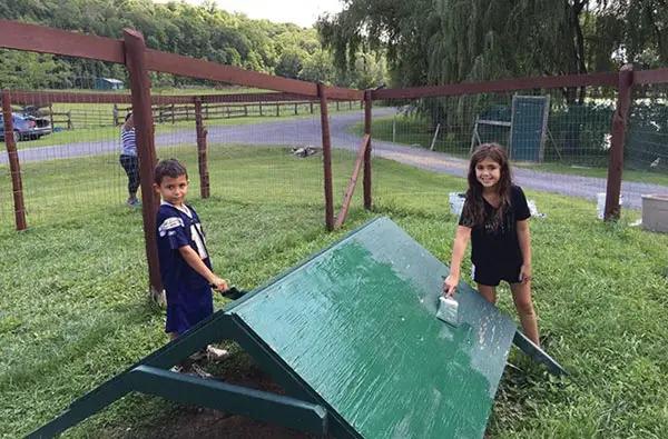 painting chicken coop