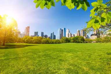 park