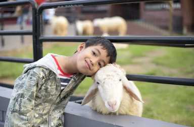 petting-zoos-nyc