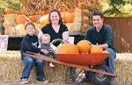 Pumpkin Picking in New York