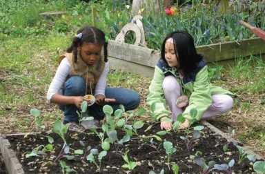queens-botanic-garden