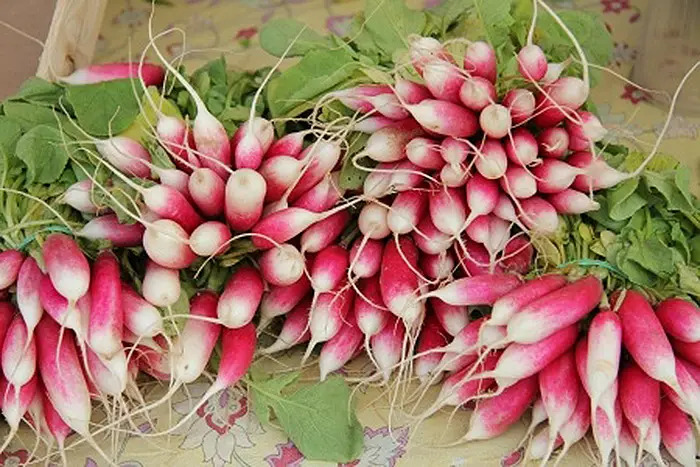 radishes