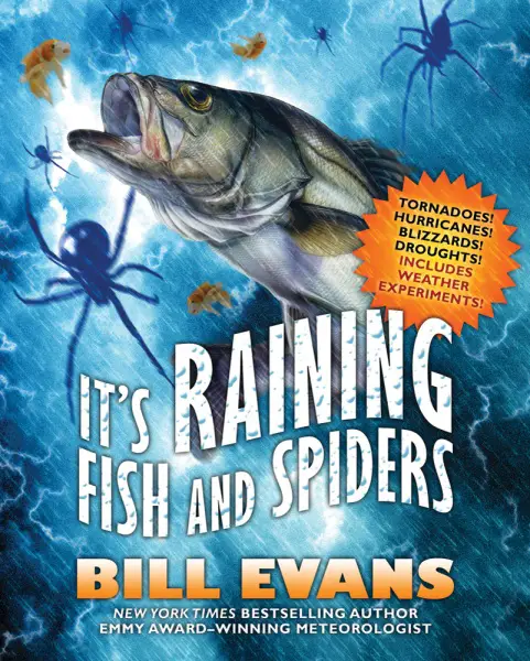 It's Raining Fish and Spiders Book Cover