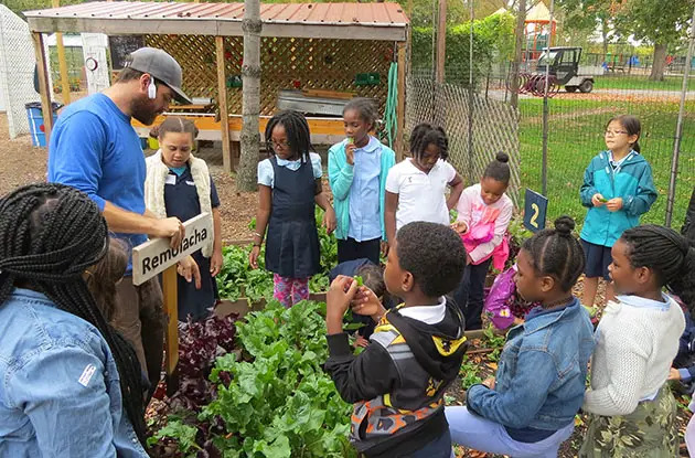 randalls island urban farm