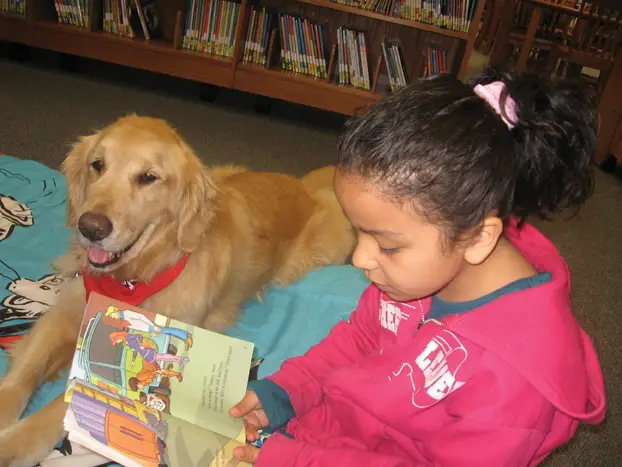 reading education assistance dogs
