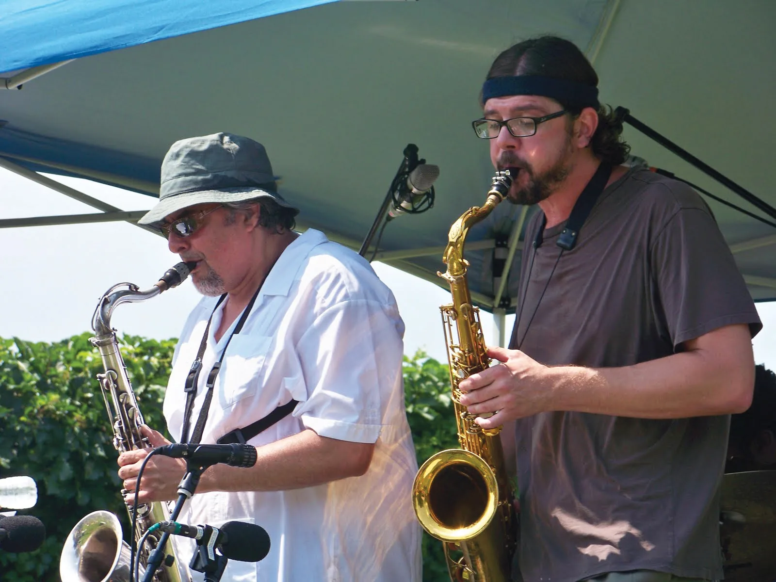 Red Hook Jazz Festival musicians