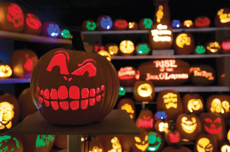 rise of the jack o lanterns