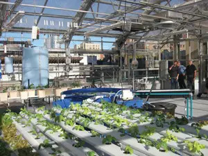 rooftop greenhouse classroom at Manhattan School for Children