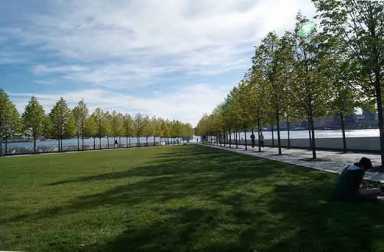 roosevelt-island-fdr-park-outing1