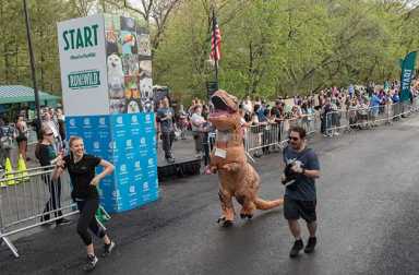 run-for-the-wild