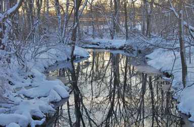 rye-nature-center-nanderwhere-pond