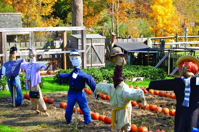 scarecrow festival stamford nature center ct