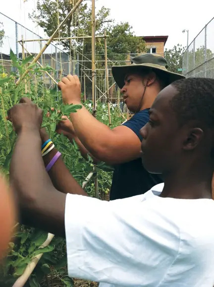 Brooklyn school garden