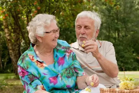 seniors on a picnic