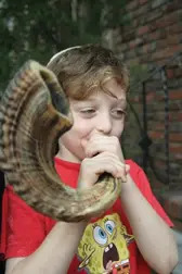 shofar