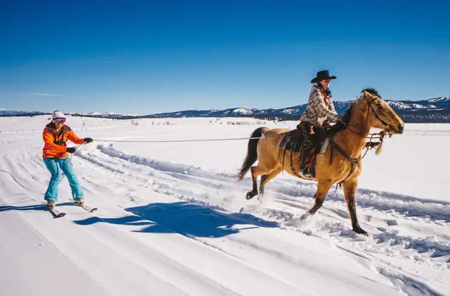 skijoring resort at paws up