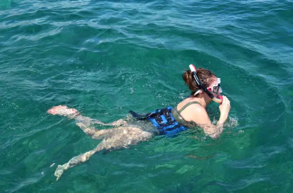 snorkeling with nexus tours in punta cana